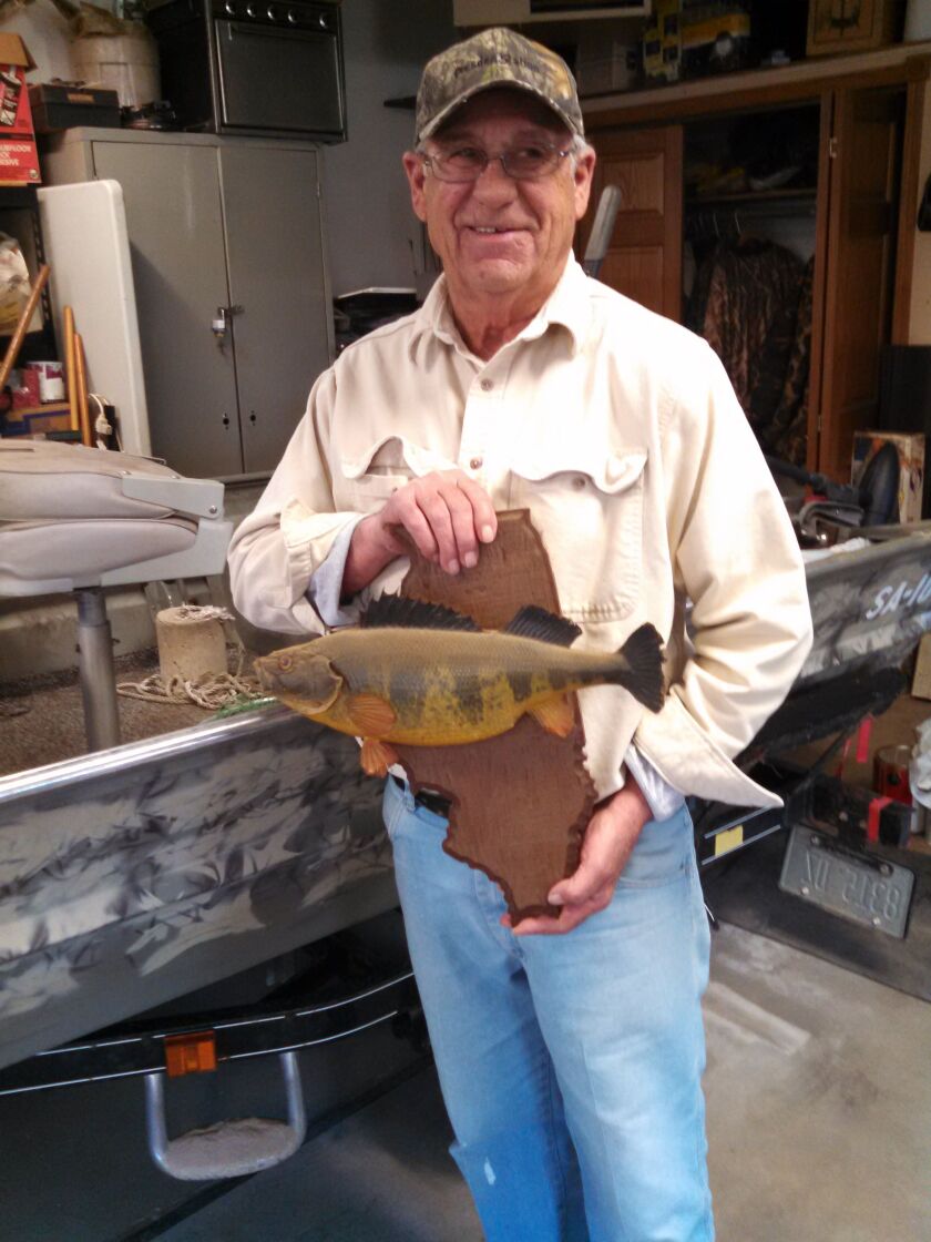 Joe Grega with the mount of his Illinois-record yellow perch, still the record after more than 40 years.<br>Credit: Dale Bowman