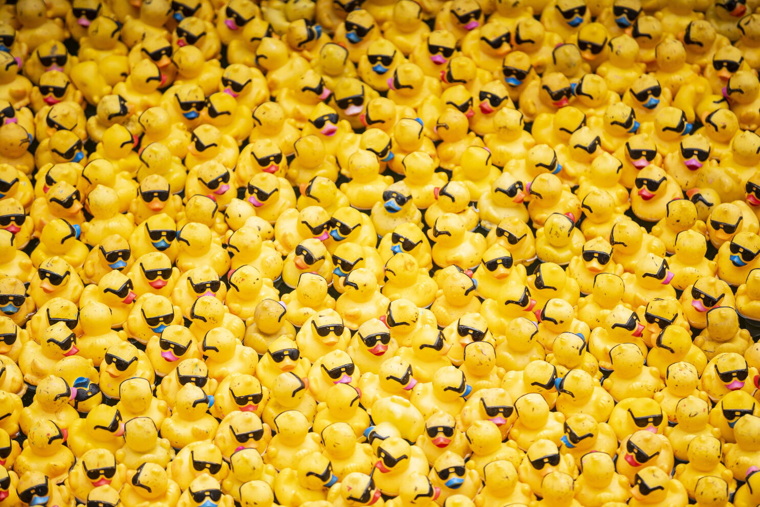 Thousands of rubber ducks race for a cause in the Chicago Ducky Derby downtown 2 ?url=https%3A%2F%2Fcdn.vox cdn.com%2Fthumbor%2FIDcOqiBj zcNaaoyd rPcH5kKuw%3D%2F0x0%3A6000x4000%2F6000x4000%2Ffilters%3Afocal%283000x2000%3A3001x2001%29%2Fcdn.vox cdn.com%2Fuploads%2Fchorus asset%2Ffile%2F23923709%2Fmerlin 107405784