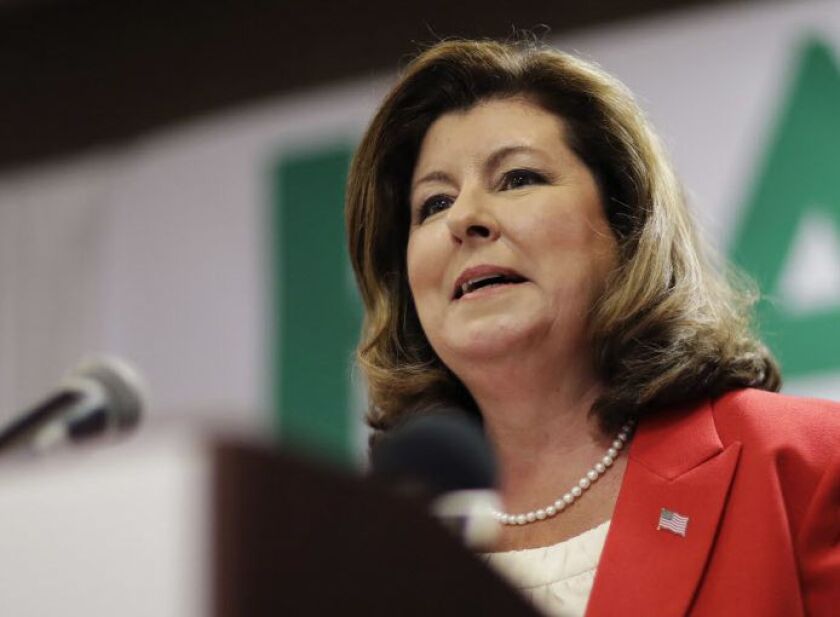 Karen Handel, a Republican candidate for Georgia’s Sixth Congressional seat, speaks at an election night watch party in Roswell, Georgia, on Tuesday, April 18, 2017. | David Goldman/AP