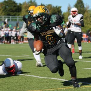 Westinghouse’s LaDerek Towner (3) carries the ball. Allen Cunningham/For the Sun-Times.