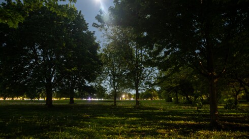 Marquette Park. The children fled their apartment one night in November and walked to the park, pulling a wagon with their belongings. They were planning to sleep outside. The 17-year-old was pacing. From the park, they called Isabel Conde for help.