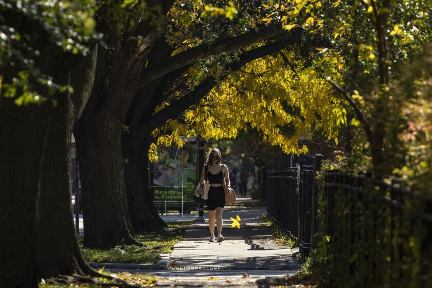 A pedestrian walks on the sidewalk in the 5000 block of North Damen Avenue past Winnemac Park in Lincoln Square on the North Side as temperatures were expected to reach at least 80 degrees, Tuesday, Oct. 24.