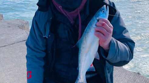 Jason “Special One” Le with a coho on the Chicago lakefront Sunday. Provided photo