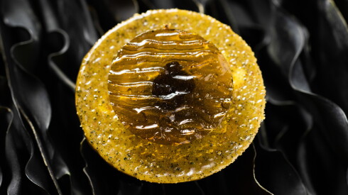 This pistachio praline tart is a Smyth dessert item that comes in a kombu pie (kelp) shell and passionfruit.