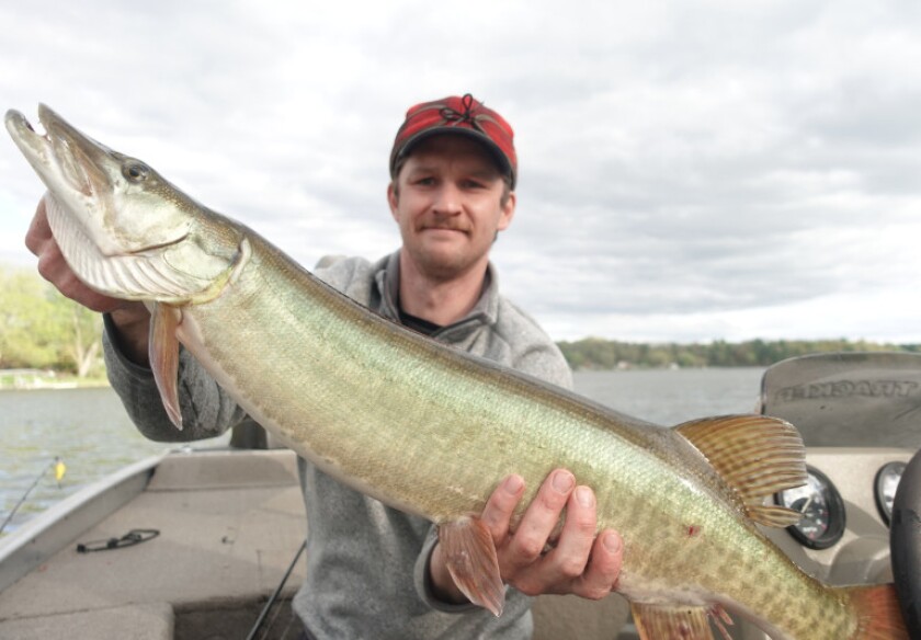 Tim Baker with a surprise muskie during his species quest. Provided photo