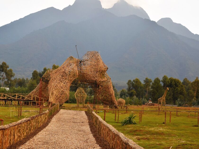 Gorillas are Rwanda’s national treasure, and every September there is a high-profile ceremony to name all the baby gorillas born in the previous 12 months, attended by the nation’s president and various dignitaries. This “gorilla” amphitheater has been as