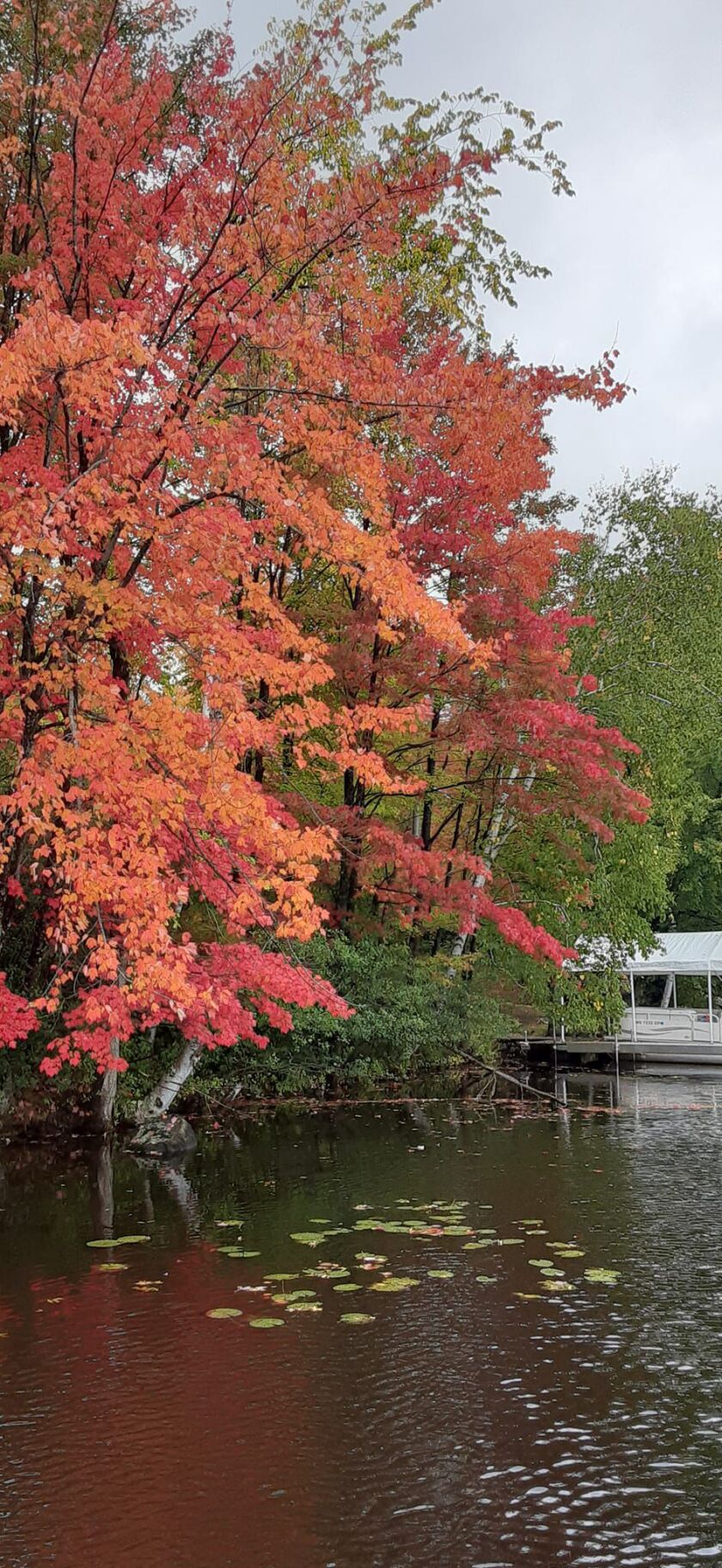 Fall colors, Wisconsin River, Rob Abouchar, fishing, outdoors