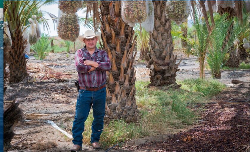 Aguileo Rangel Rojas, originally from Guanajuato, Mexico, has been working as a farm worker in Coachella since 2004.