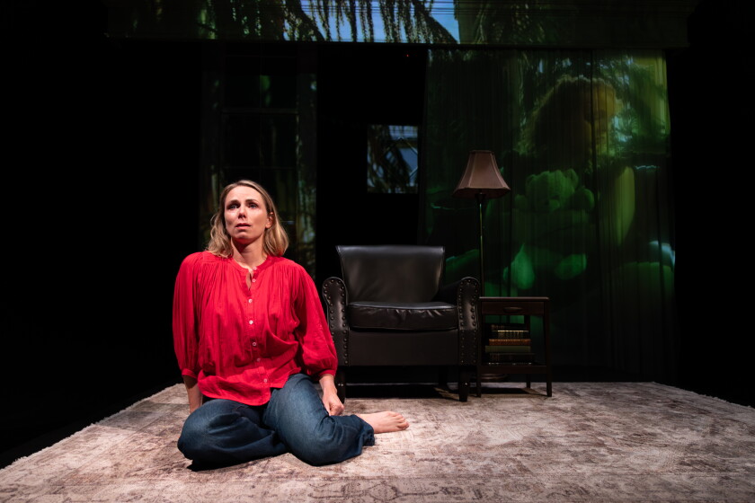Brenda Barrie stars in “Sisters,” now playing at Writers Theatre in Glencoe through Nov. 8.