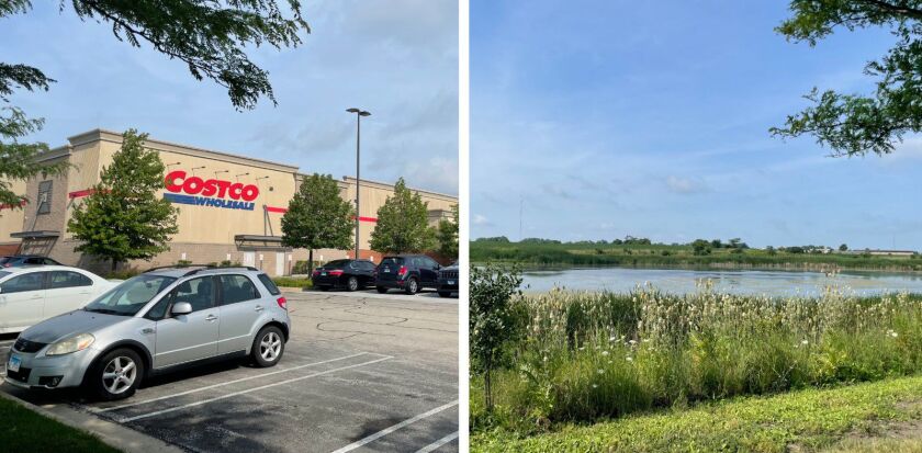 The retention pond behind the Costco in Orland Park: a great spot for birding.