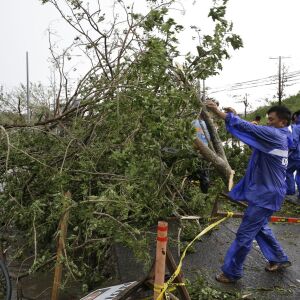 Government workers clean up a tree that was toppled by strong winds from Typhoon Mangkhut as it barreled across Tuguegarao city in Cagayan province, northeastern Philippines on Saturday, Sept. 15, 2018. The typhoon slammed into the Philippines northeaster
