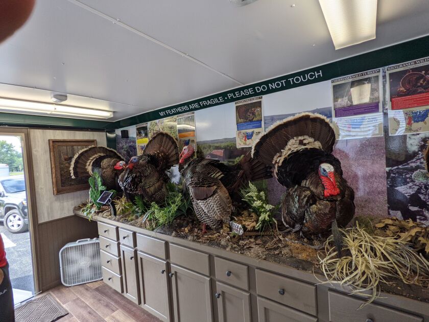 The Traveling Turkeys trailer was one of the cool things Saturday at the Chicago Family Outdoor Day at William W. Powers State Recreation Area. Credit: Dale Bowman