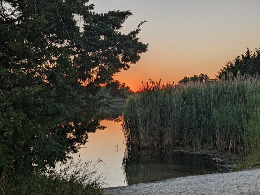 Sunset spotted over Goose Lake on the way out of Mazonia North State Fish and Wildlife Area. Credit: Dale Bowman