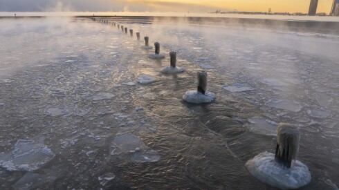 COLD_260124-8.jpg
