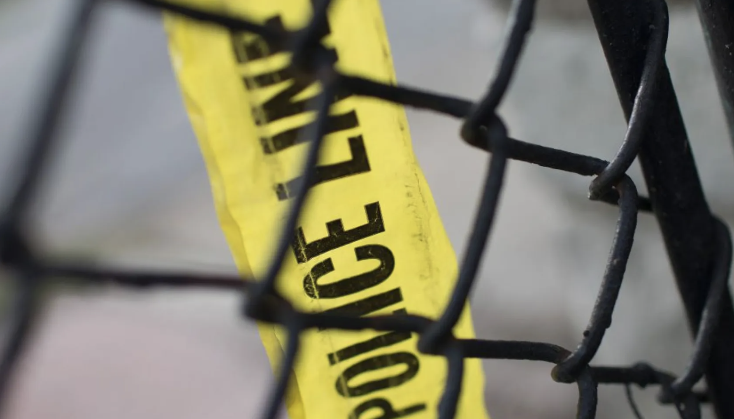 Boy, 15, shot during fight at Ogden Park - Vimarsana News