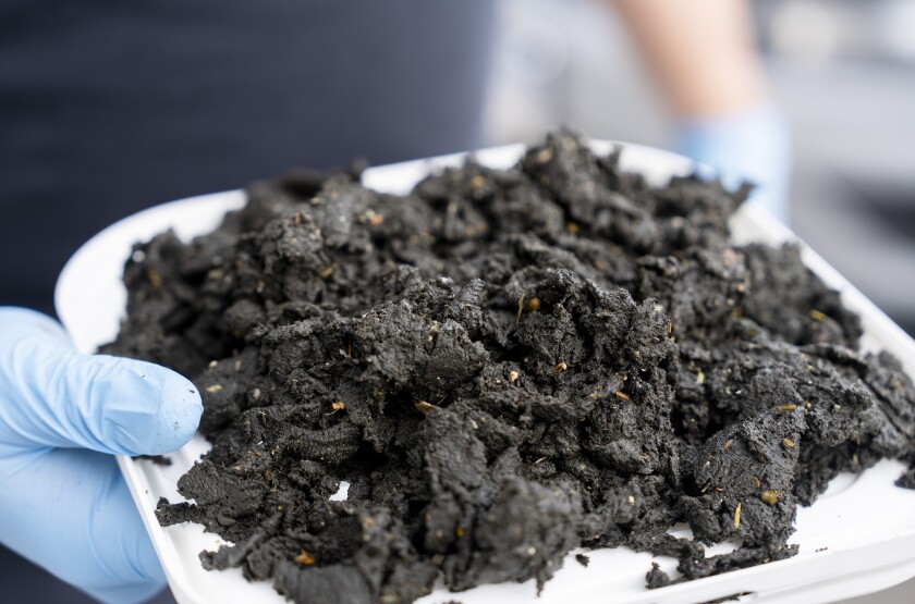 After weeks in Green Era's biodigester, food waste becomes ‘digestate’ (center), which is made into finished compost at Urban Growers Collective to use on its farms.