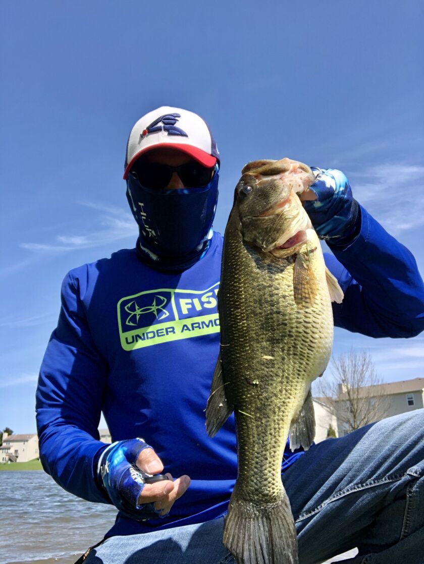 A suburban largemouth. Provided by Rico Cantu