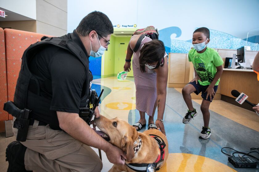 Xavier Dorsey, 6, reacts upon seeing therapy dog Zilly as his mother Jaquita pets Zilly and handler Jerry Roman watches before a press conference at La Rabida Children’s Hospital.