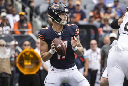 BEARS_260816-09.jpg