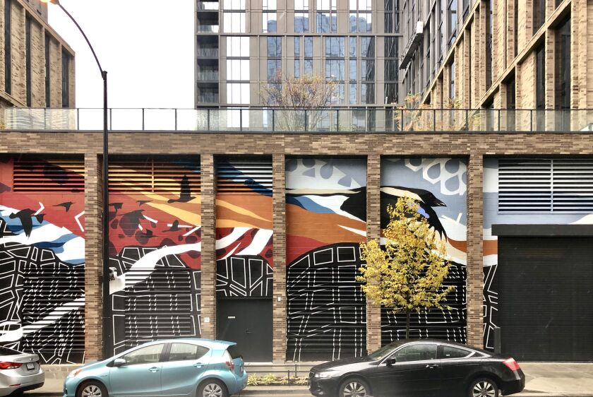 Artist Janson Rapisarda’s image of a magpie shows it taking flight across the mural on Green Street between Madison and Monroe.