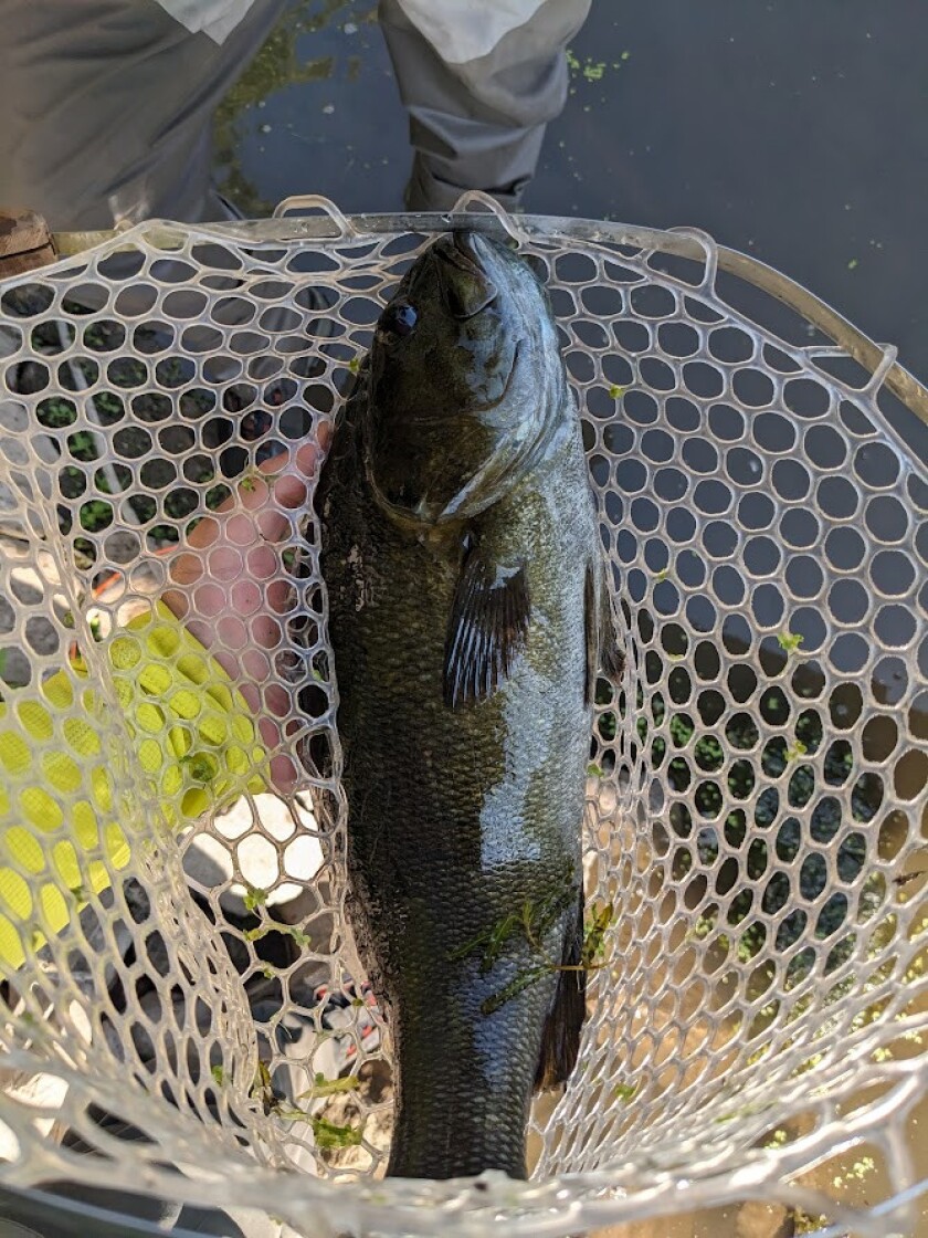 Jon Foster caught his biggest smallmouth bass while fly fishing the Fox River with a Clouser Minnow. Provided photo