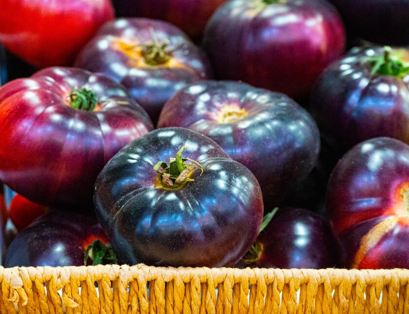 Blue tomatoes.