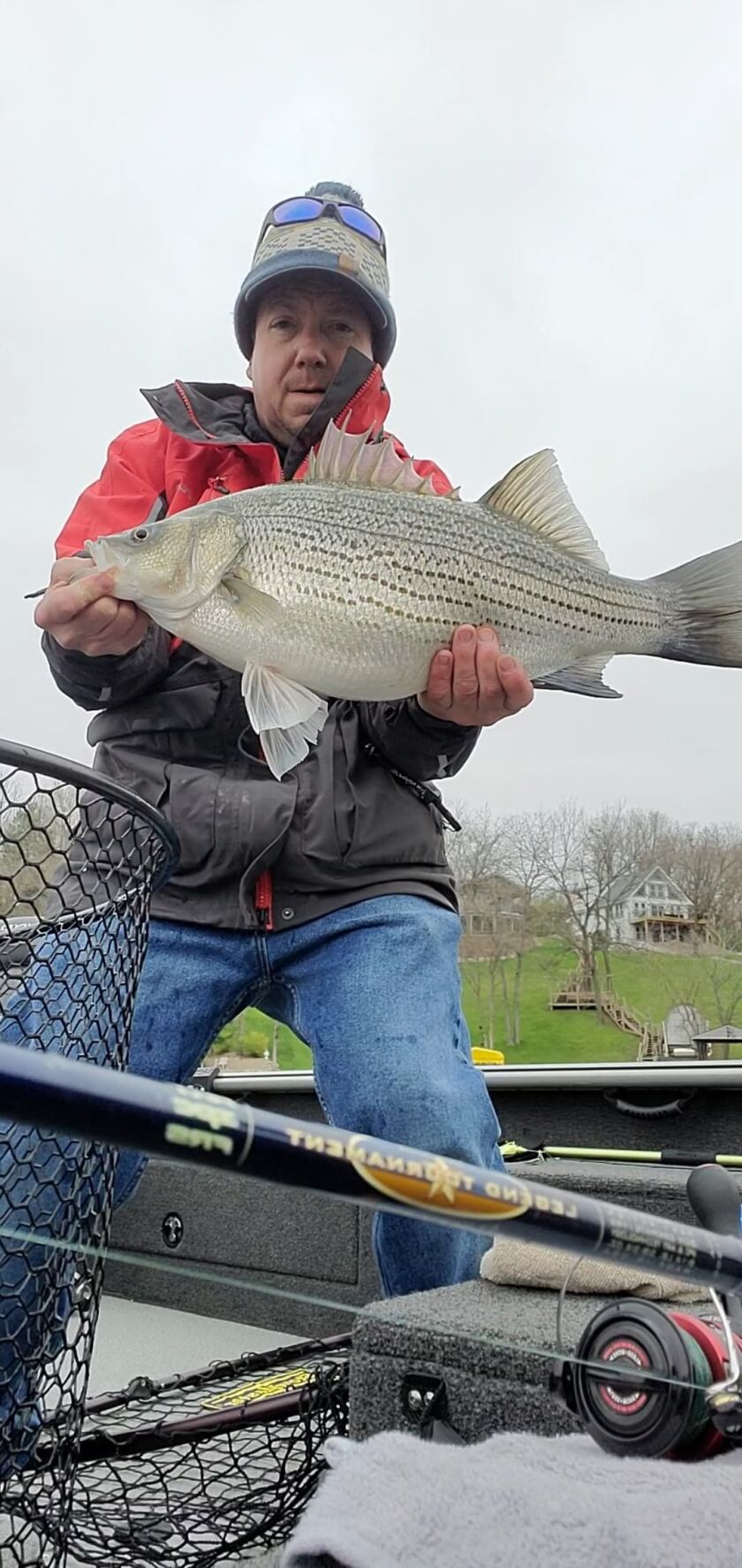 Dustin Perkins with a good hybrid striped bass on a private lake. Provided photo