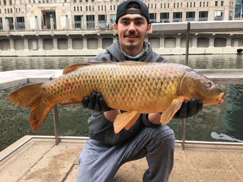 Jeffrey Williams’ brother Jesse won the day with this carp on the Chicago River. Provided photo