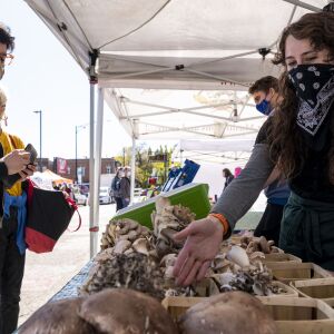 CV_MARKET_051321_7.jpg