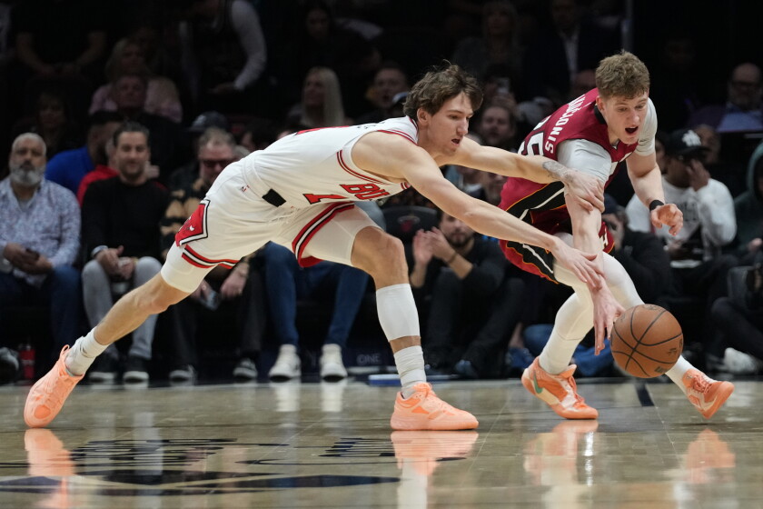 Bulls Heat Basketball