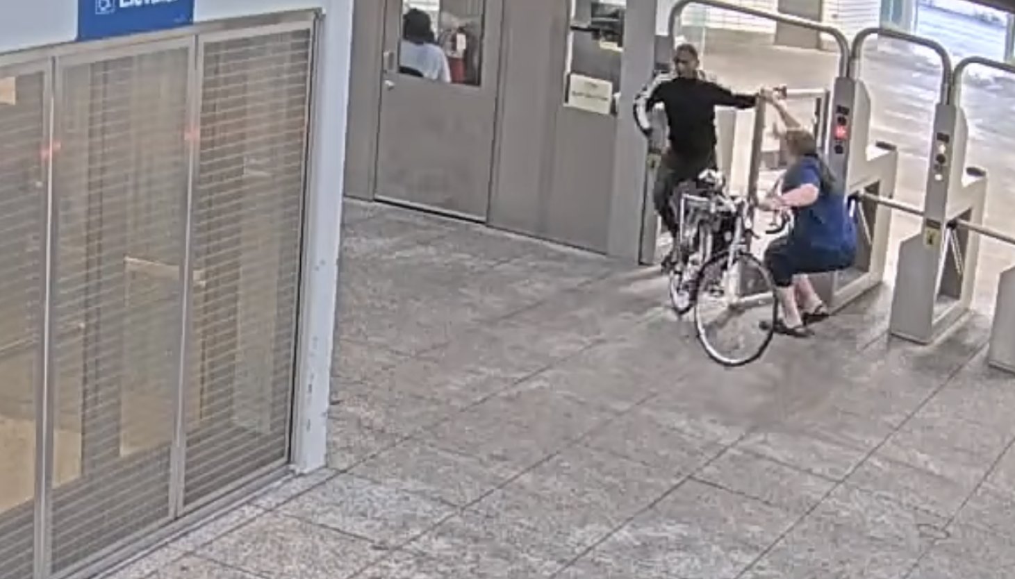 K9 guards stood by as fare evader pushed woman, breaking her leg at Red Line station: lawsuit