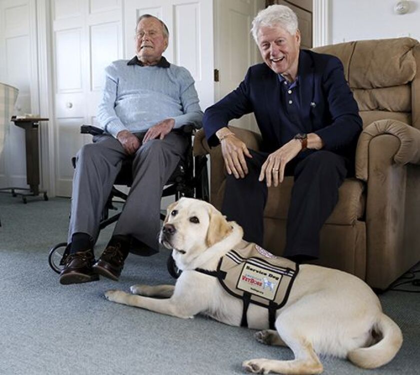 Former presidents George H.W. Bush, left, and Bill Clinton, right, pose with Sully during a visit earlier this year. (Evan F. Sisley/Office of George Bush via AP)