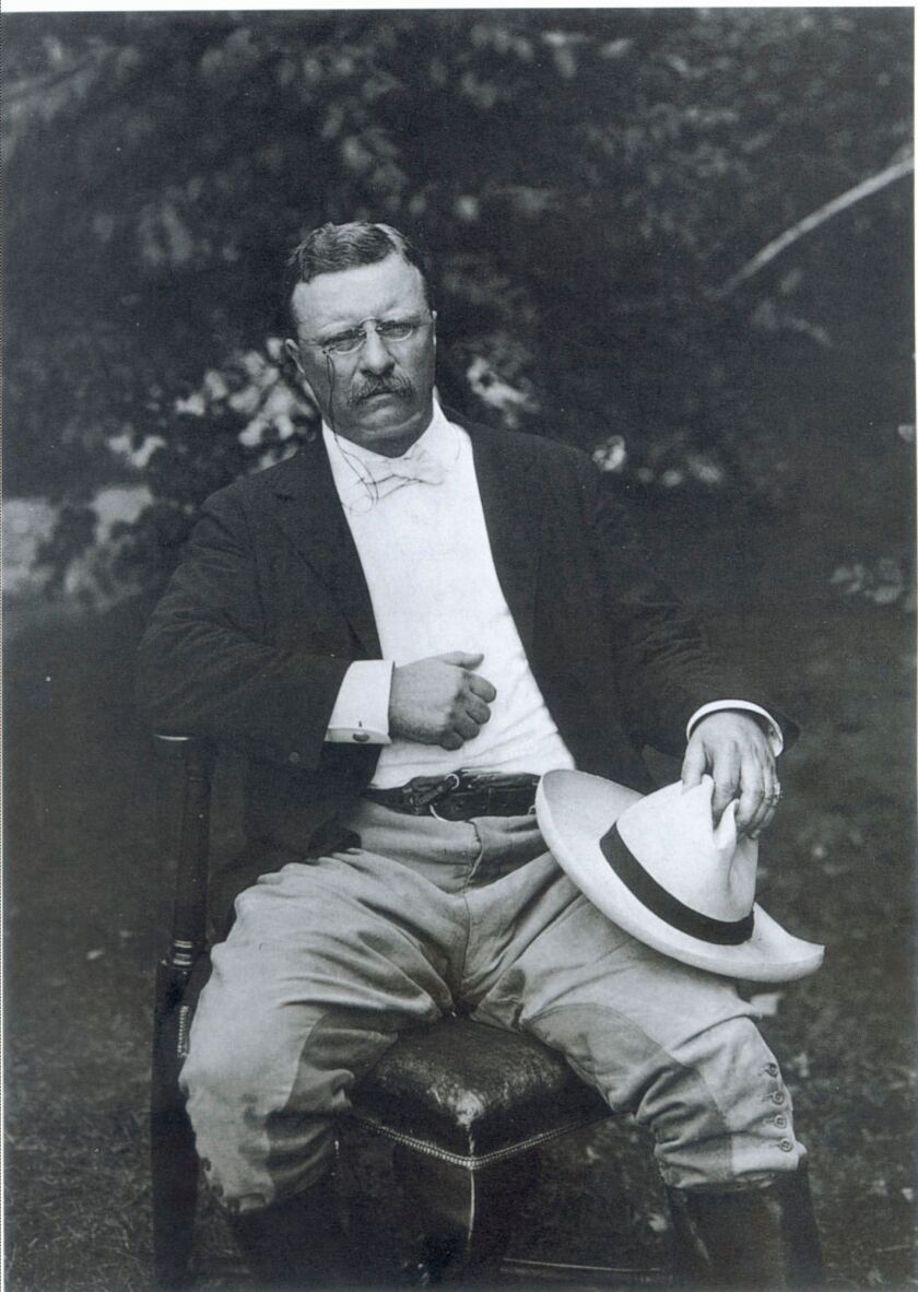 FILE—President Theodore Roosevelt, outdoorsman and naturalist as seen in this 1903 portrait, may have been the last American to see and recognize a flock of passenger pigeons in the wild. First Lady Edith Roosevelt bought, remodeled and named Pine Knot for the President. (AP Photo/Theodore Roosevelt Association)