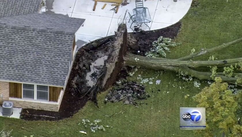 An uprooted tree in a Lake County backyard. | courtesy ABC-7
