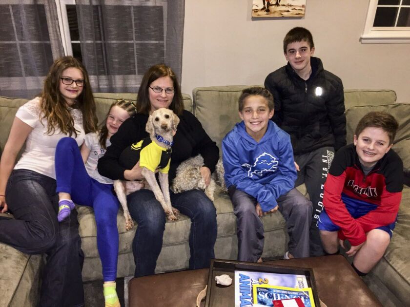 A happy ending to a missing dog story. From left, Ella and Dalya Barron, their mother Catherine, holding Teddy (left) and Barnaby, plus the three boys who found him, Reese Marquz, Patrick and Max Herbst. | Neil Steinberg for the Sun-Times