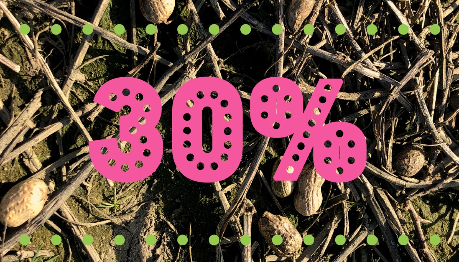 Two Spring Indicators - WBEZ Chicago