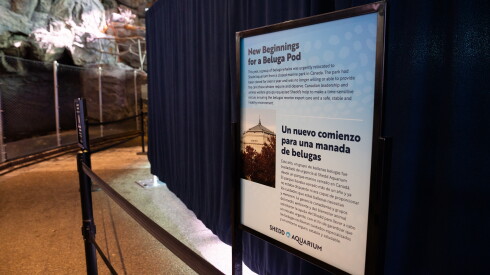 BELUGASSHED_260724-16.jpg