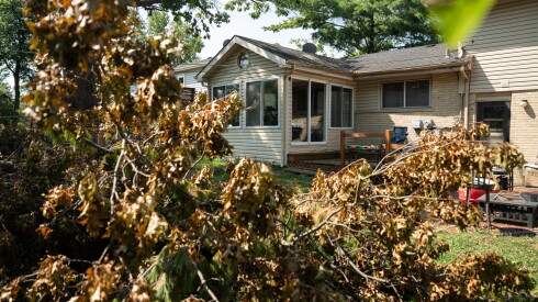 Downed trees sit in the backyard of the Douglas family in far south suburban Homewood on Wednesday, Sept. 2, 2026.