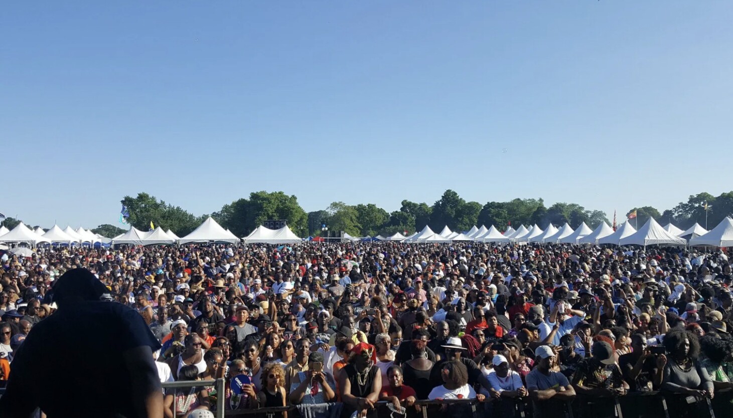 NextImg:Chosen Few DJs’ ‘family reunion style’ house music festival returns to Jackson Park on Saturday
