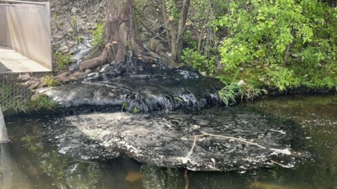 This photo taken in May shows oily sludge along the shoreline of the Chicago Sanitary and Ship canal after a large spill of liquid asphalt.