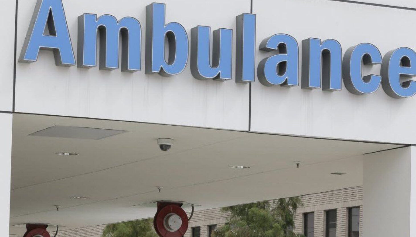 Cook County Rabies Protocol Chicago dog with rabies marks first positive test in Cook County in ...