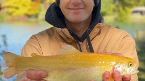 Alex Koepke caught a gold-colored trout on opening day of Illinois’ fall trout season. Provided photo