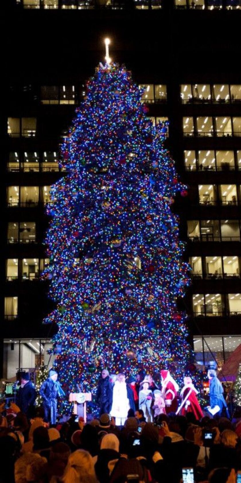 The city of Chicago’s official Christmas tree will be in Millennium Park this year. | CITY OF CHICAGO PHOTO