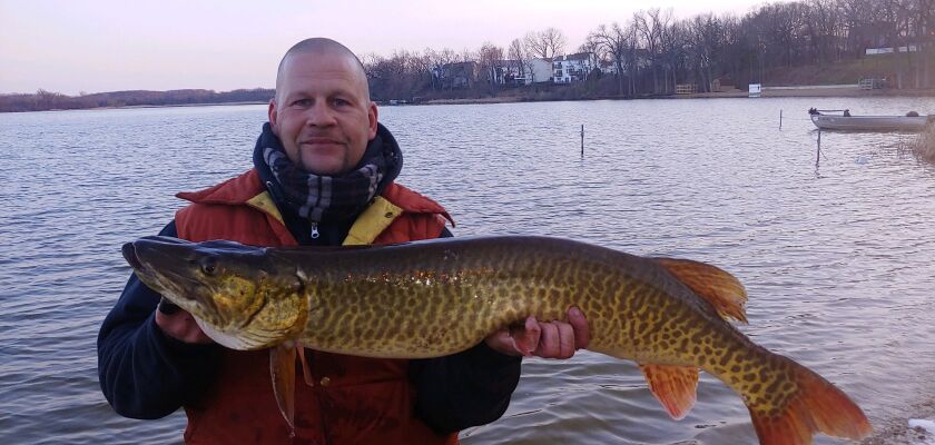 Todd Kybartas caught his first tiger muskie on Crooked Lake. Provided photo