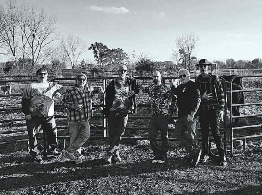 Midnite Mile looking good and sharing time wth livestock. Provided by Rob Abouchar