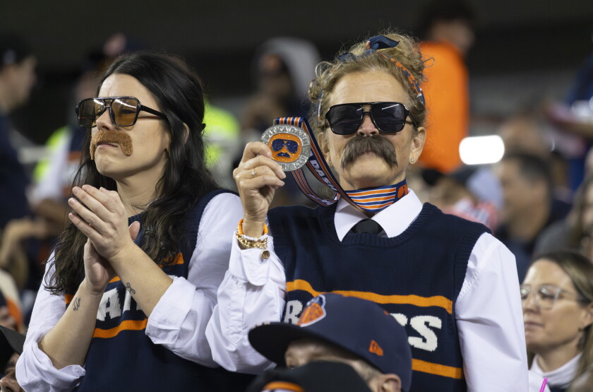 BEARS_2610231413.jpg
