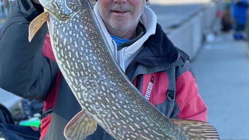 Dale Rehus with a big northern pike caught while perch fishing at Navy Pier. Provided photo