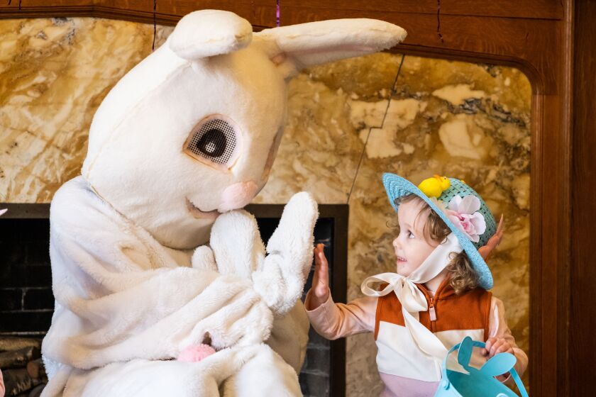 Genevieve Meers Walker, 2, high-fives a person dressed as the Easter Bunny ahead of Easter at Berger (Albert) Park in Edgewater, Saturday, April 8. Dozens of kids attended a Chicago Park District event that featured an Easter egg hunt, face painting, crafts and physical activities.