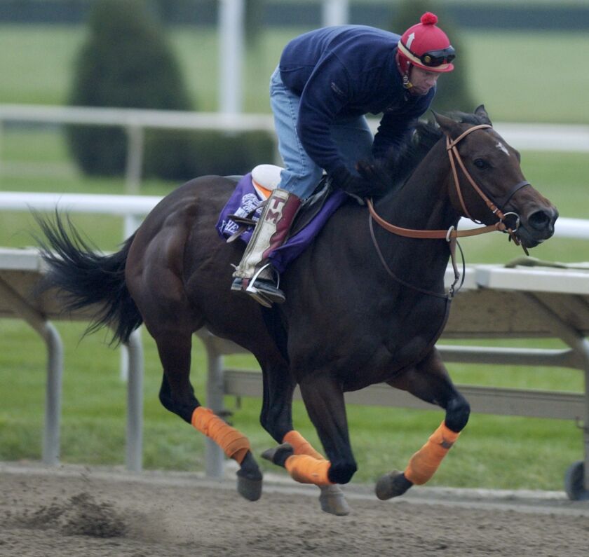 Workouts for the Breeders’ Cup at Arlington International Racecourse in 2002.