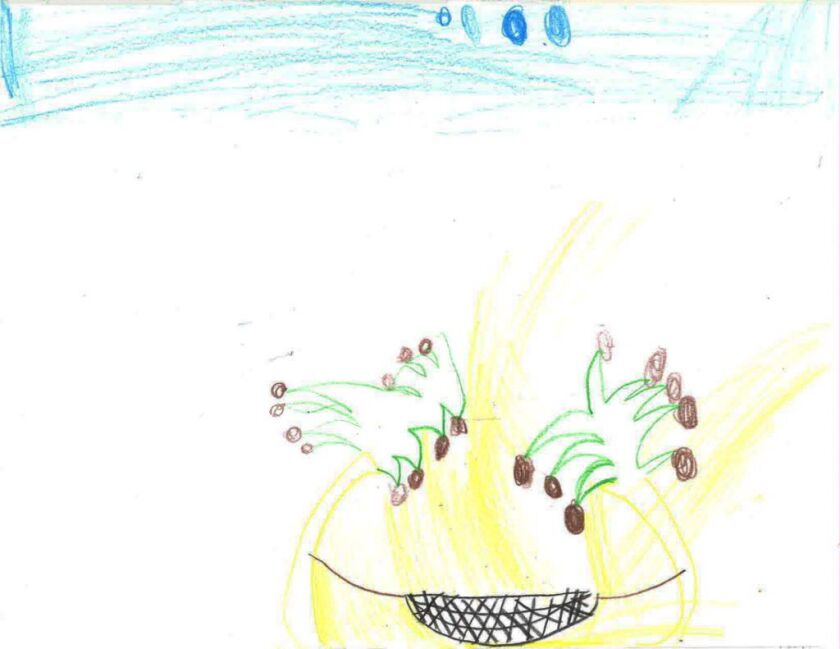 A drawing by a 9-year-old boy, identified only as C.D.A., who has been separated from his family for roughly a month and is being held in Chicago. The picture is of palm trees and a hammock — a place that makes him happy, his lawyer said.